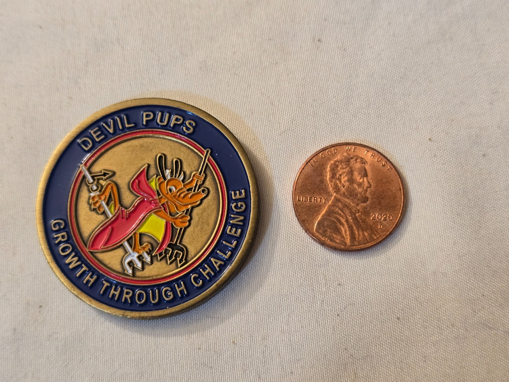 US Marine Corps Camp Pendleton Devil Pups Challenge Coin 8 / USMC