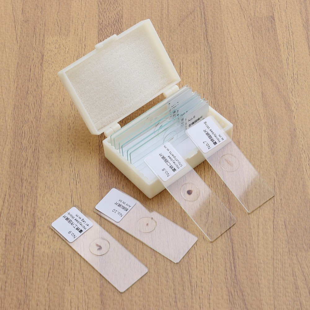 10 PCS/Set Microscope Slide Preparation Kit Insect Observation Tool