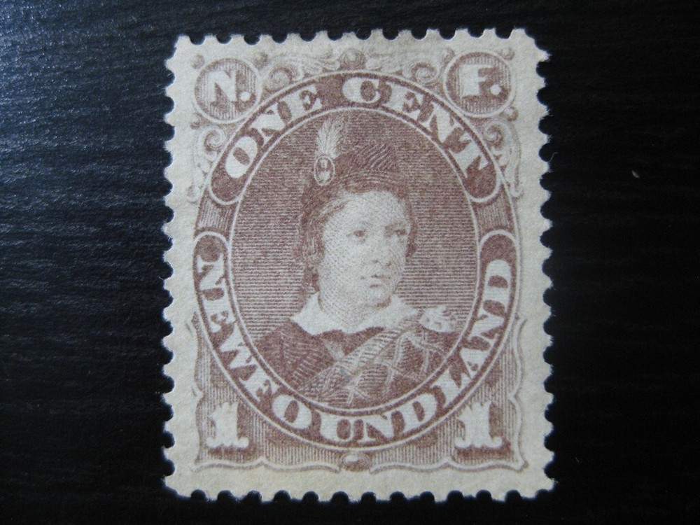 NEWFOUNDLAND Sc. #41 scarce mint stamp! SCV $42.50