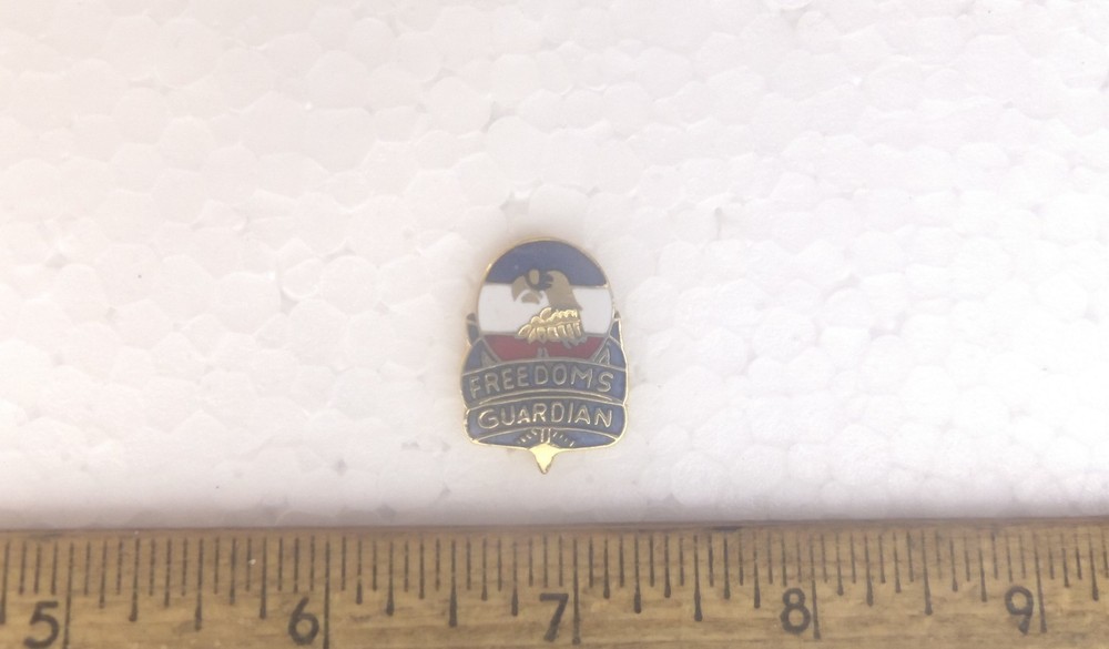 Freedoms Guardian Pin