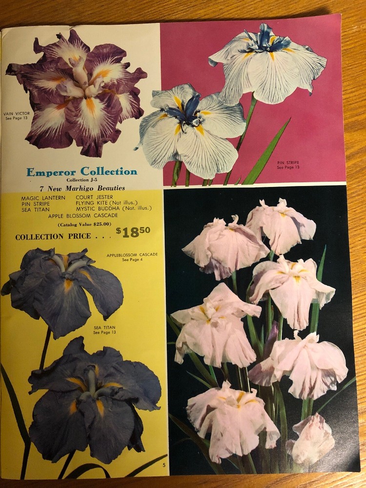 1959 Walter Marx Gardens Boring Oregon Mail Order Catalog