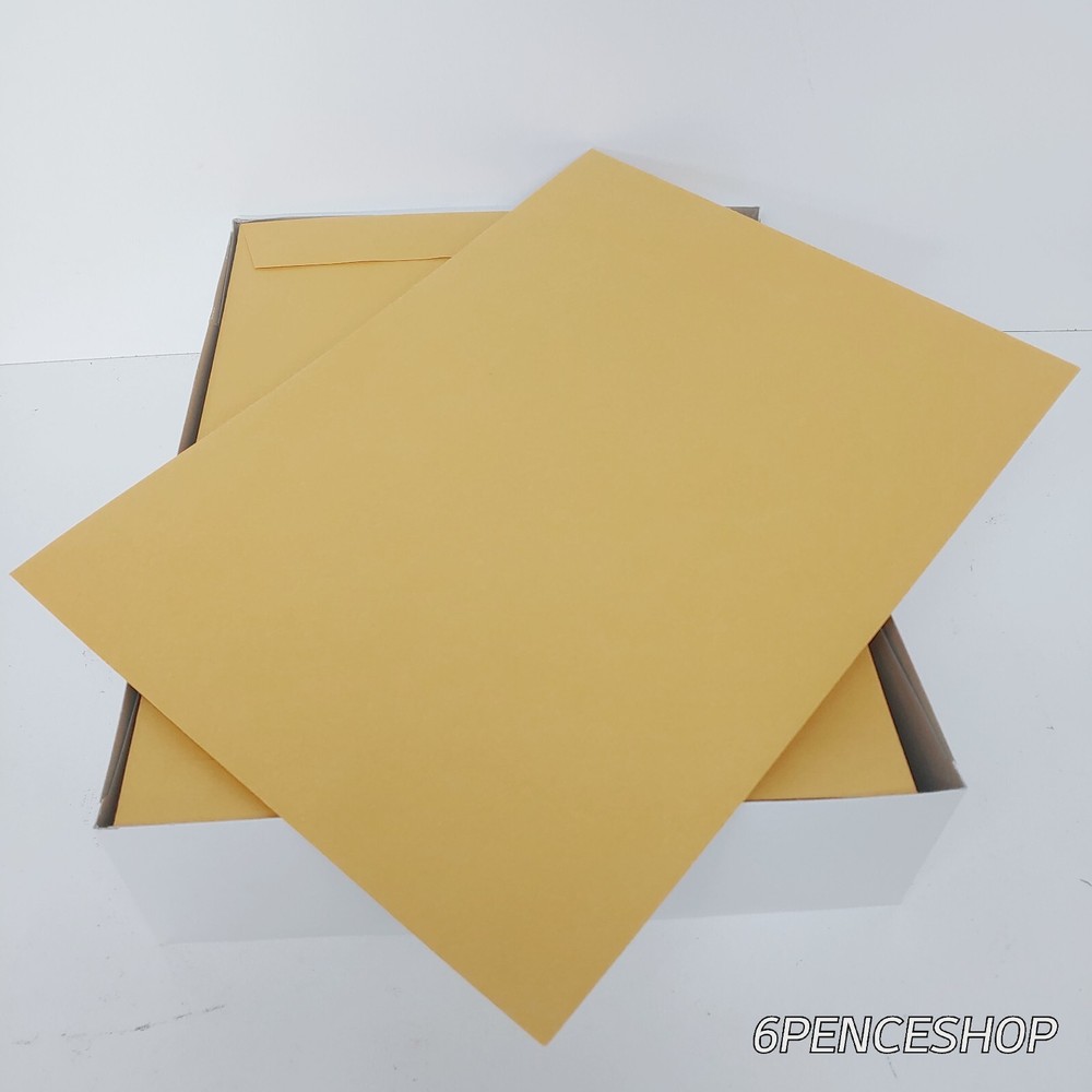 Peel Seal Strip Envelope 9 x 12 Kraft 100/Box
