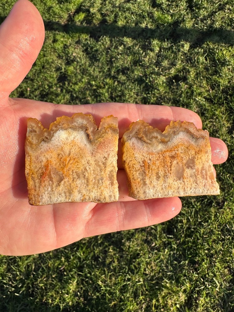 Regency Rose Plume Agate Slabs, Pair, OR, Cabbing/Lapidary