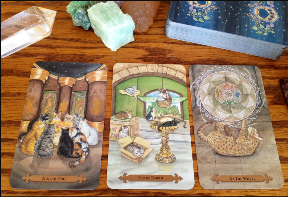 3 Deck Bundle, Earth Magic Oracle Cards, Animal messages, Mystical Cats Tarot