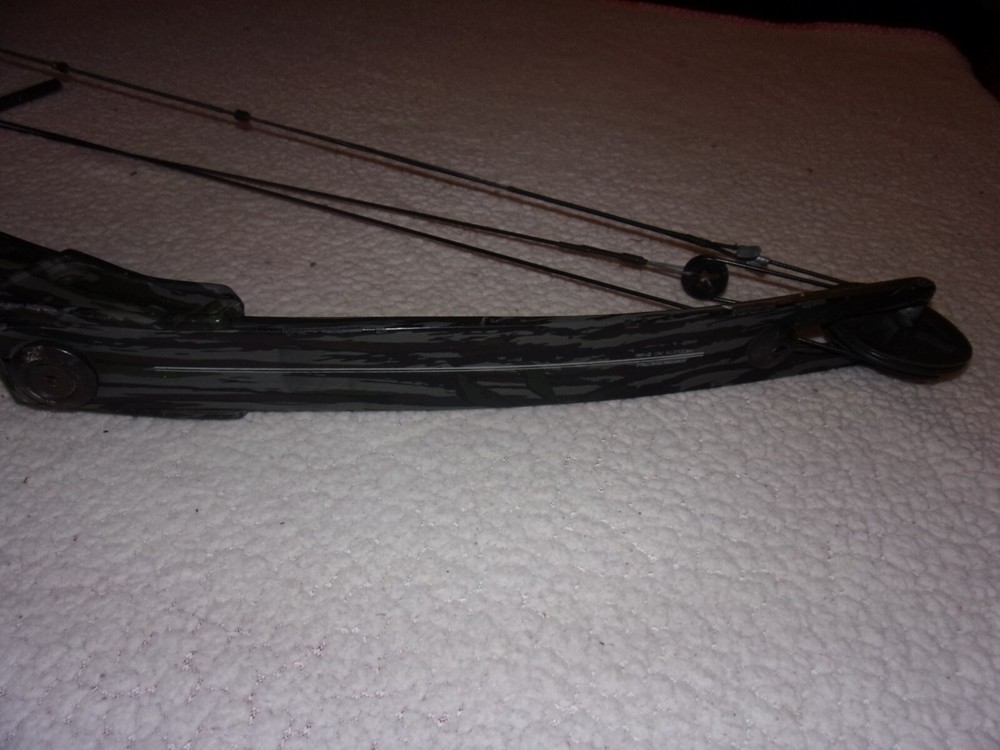 Bear Archery Cabela's Lightning Express Compound Bow