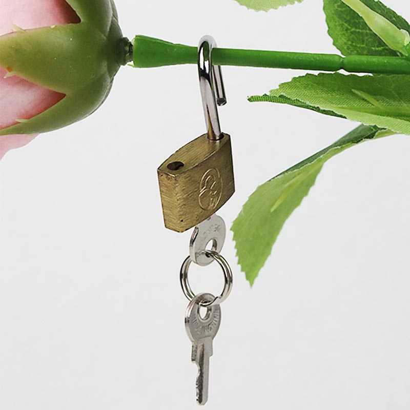 Accessories Padlock for Lockable Chastity Device Replacement Key Security Lock