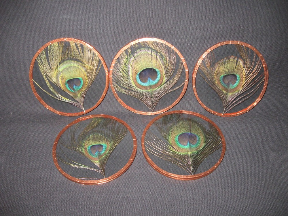 PEACOCK PRE-CUT PACK : 5 – PEACOCK 4.5 CIRCLES