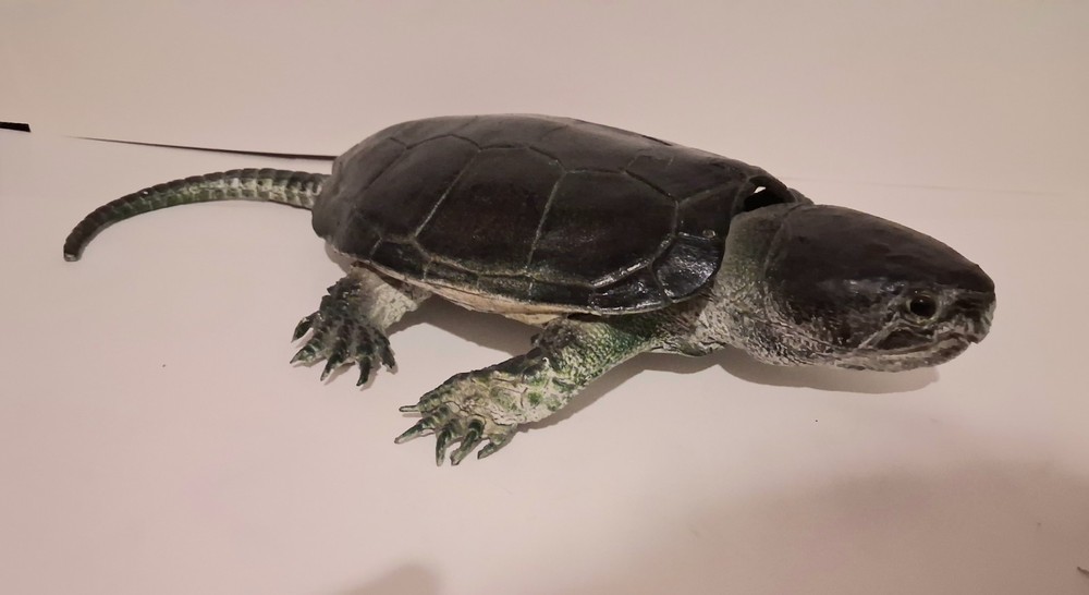 AAA Realistic PVC Big Headed/Snapping Turtle