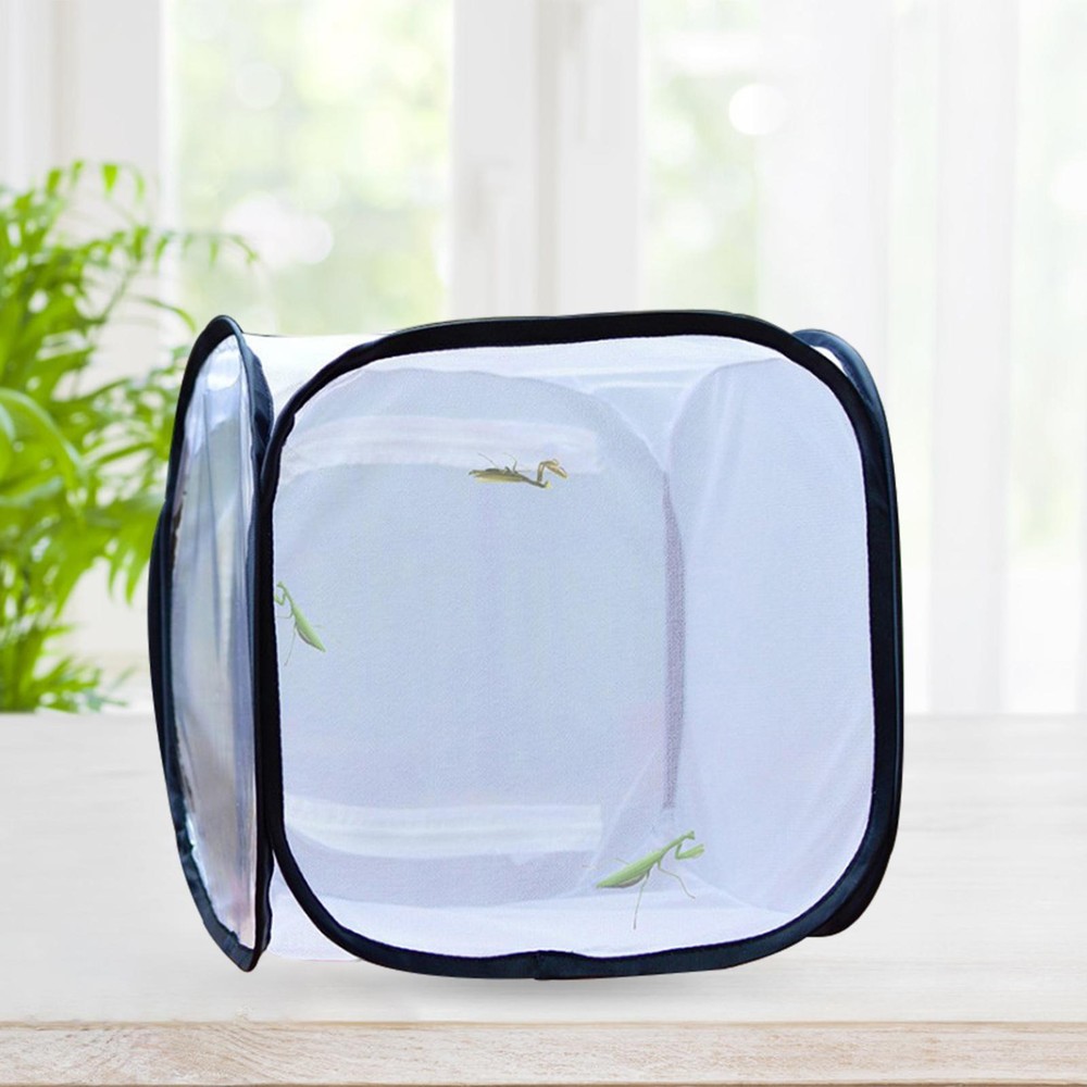 and Butterfly Cage for Nature Observation s Raising