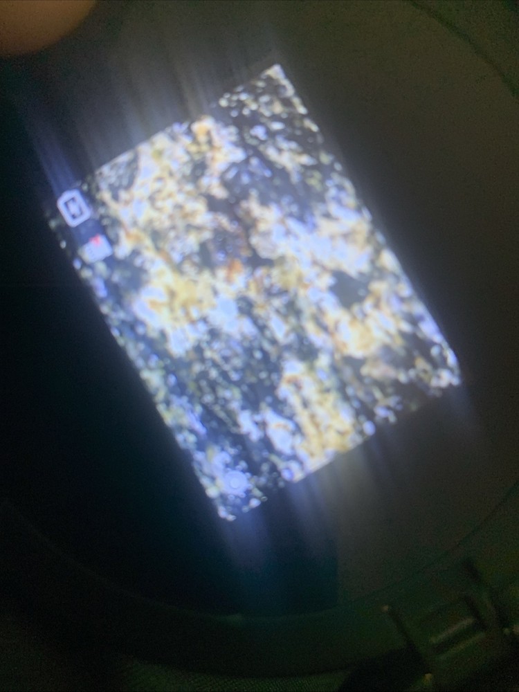 Gold Ore Schist w/ Electrolytic Specimen 77g