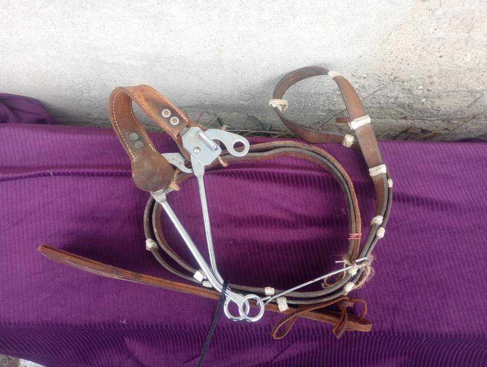 used leather horse halter