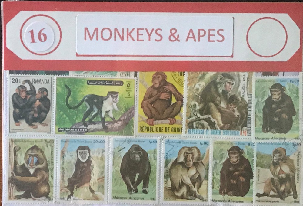 Stamp Packet - Monkeys & Apes