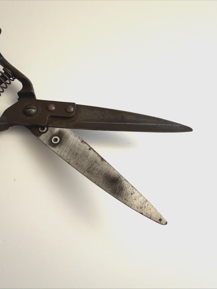 Garden / Grass Shears Vintage 12" Coil Spring Sharp! Nice Old Tool!