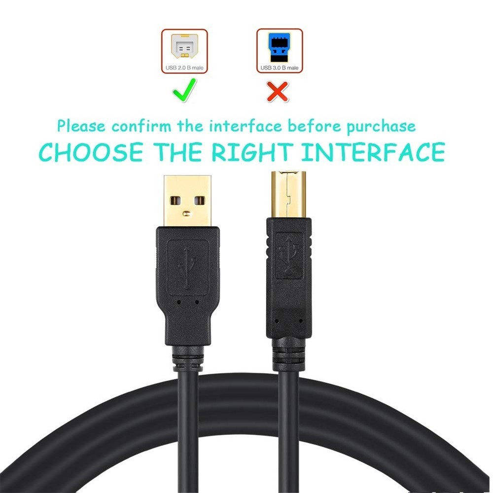USB 2.0 A/B Gold Device Cable with Ferrite Chokes, 6'