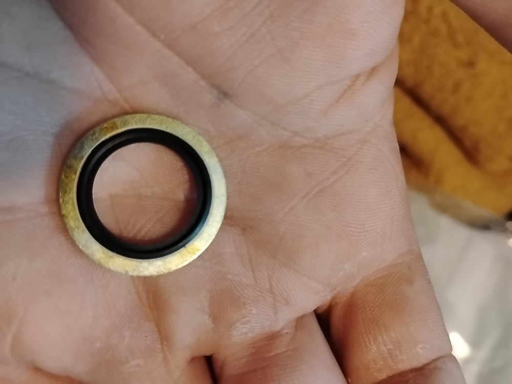 Devilbiss Pressure Washer Genuine OEM Replacement Washer Ring - AR-1540110 New