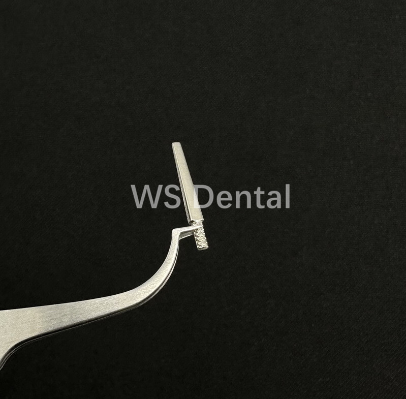 1000pcs Dental Lab Master Dowel Single Pins use with Pindex For Die Model Work