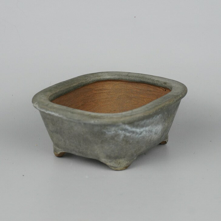 Pre-Owned Susami Bonsai Pot – Rectangular Ceramic Planter, 12cm (4.7in) Wide