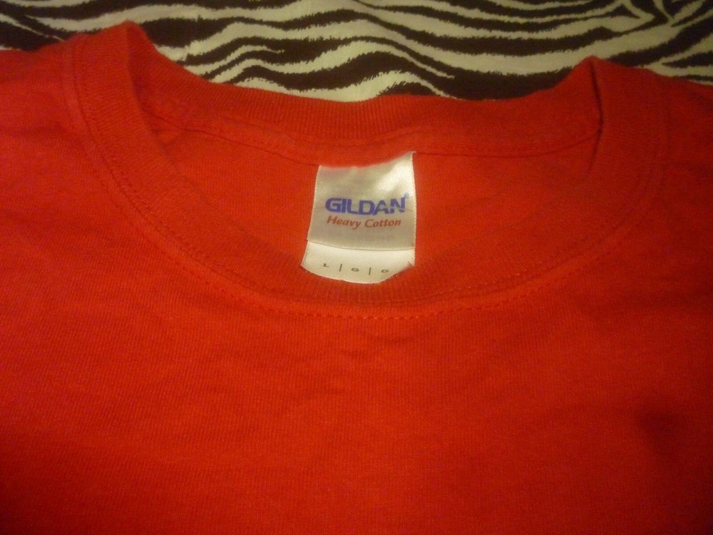 Foo Fighters Shirt - Used Size L - Good Condition!!!