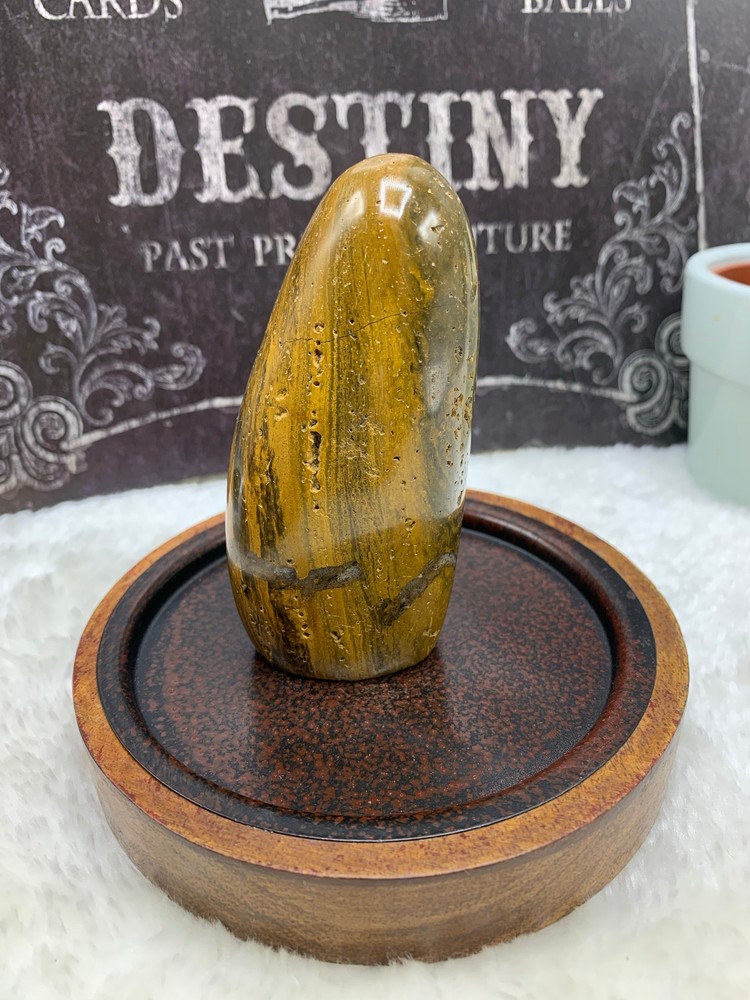 Ocean Jasper Free Form- OJ21