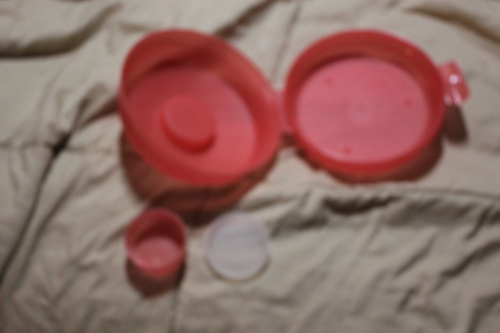 TUPPERWARE ROUND SANDWICH KEEPER WITH SMIDGET PEACH #4440A