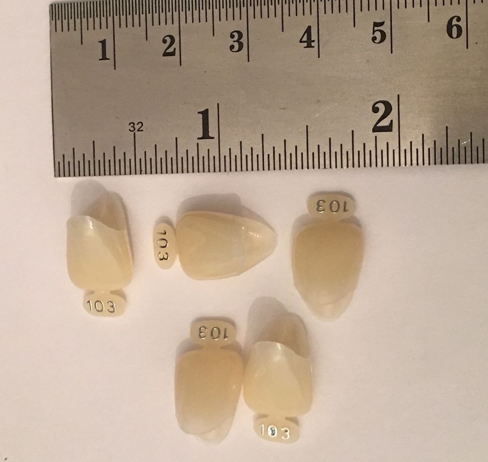 Dental Polycarbonate Temporary Crowns 5 pcs #103