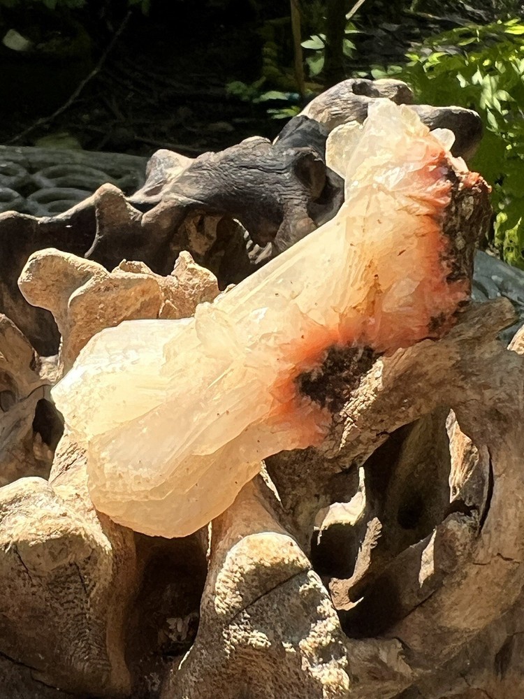 Orange Heulandite Cluster Bed Bright Colouring AAA+ Stillbite 22