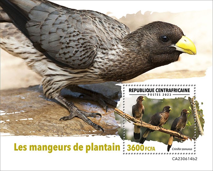 Plantain-eaters