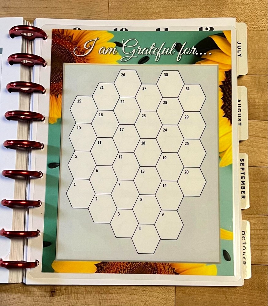 *I am Grateful for* (monthly) Dashboard Insert 4 use with Classic Happy Planner-