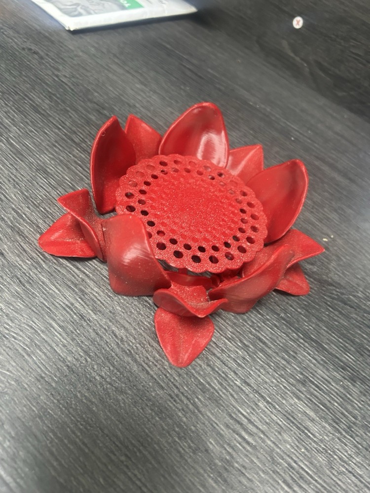 3d moving coaster