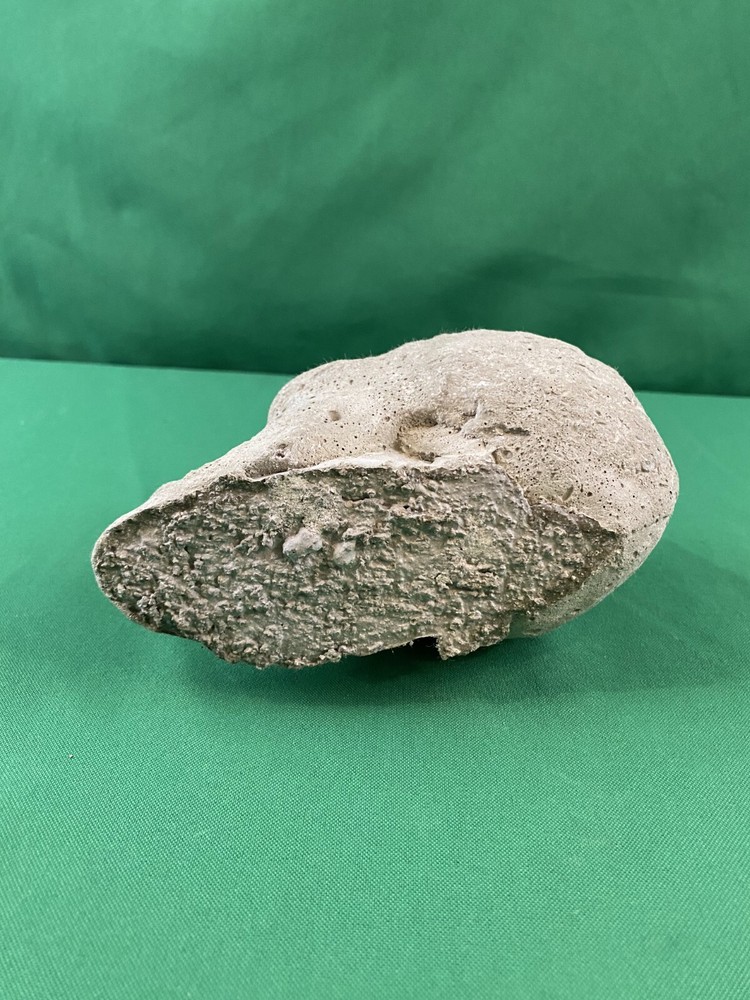 Hand Cast Fireproof Cement Fire Pit Skull Log for Bonfire Campfire Fireplace