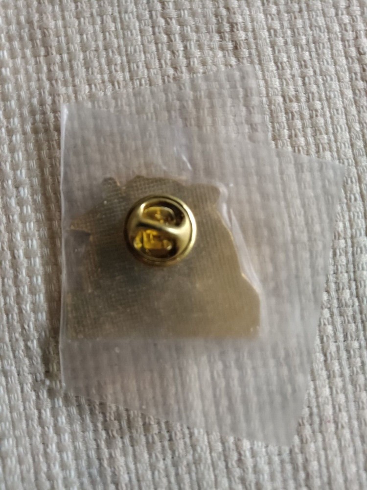 RCA DSS Digital Satellite System Pin