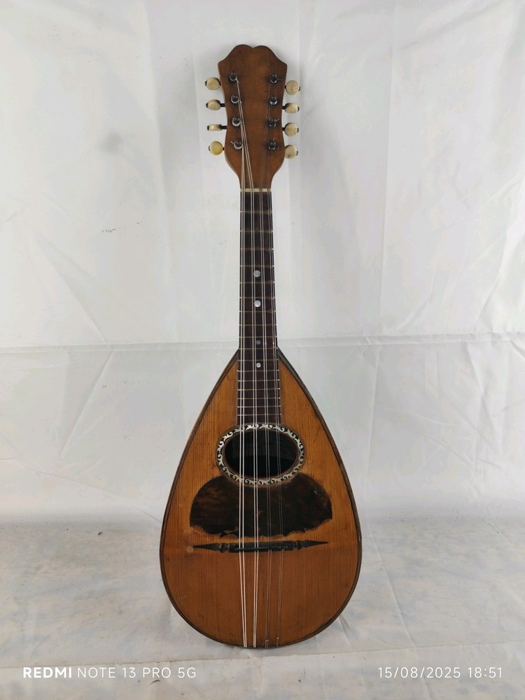 Mandolin 4/4 Giuseppe Cesolari 1905 Rome 曼陀林 만돌린マンドリン