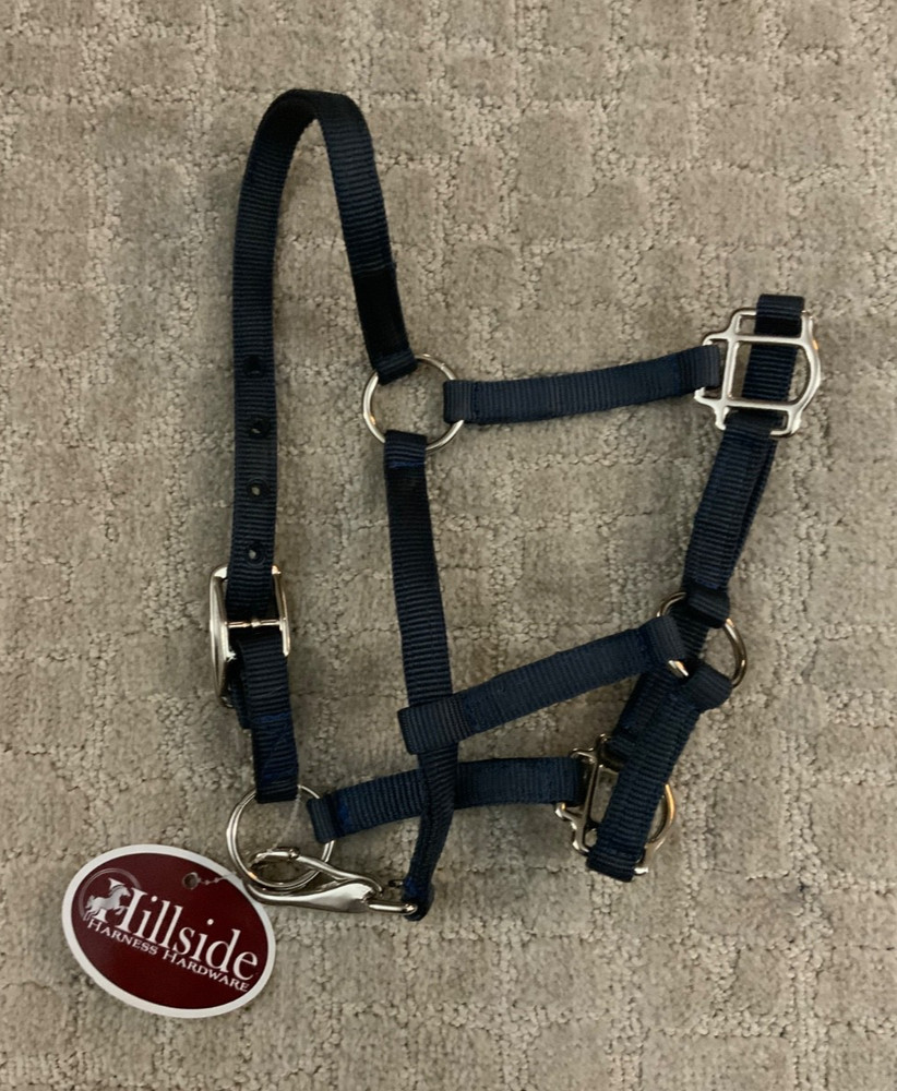 small pony halter