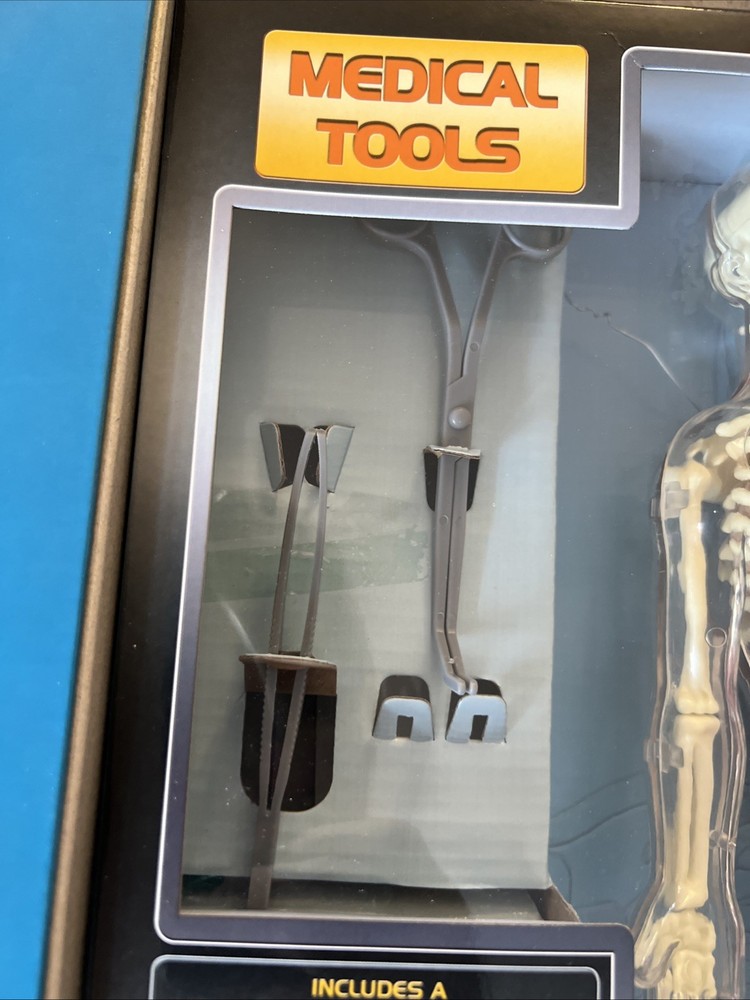 SmartLab You Explore It HUMAN BODY MODEL, Removable SQUISHY ORGANS, Tools & Book