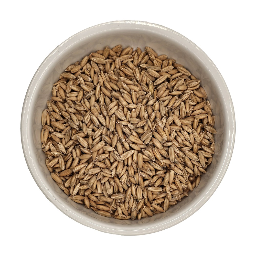 Home Brew Ohio Malted Oats Grain 5lb