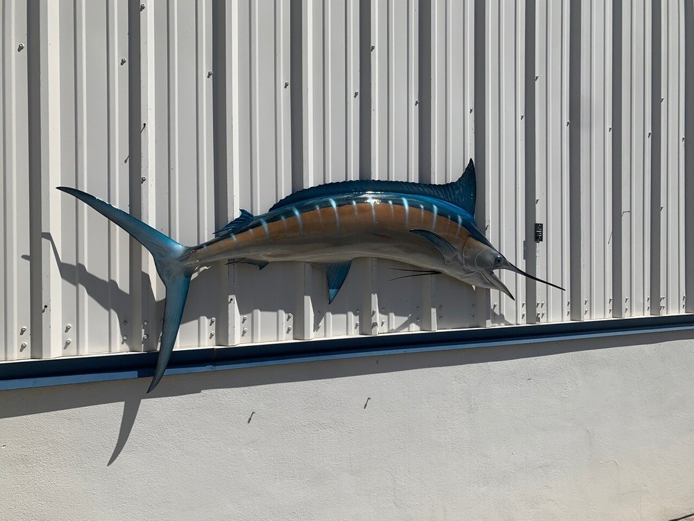 89" Blue Marlin Half Mount Fish Replica - Quick Production