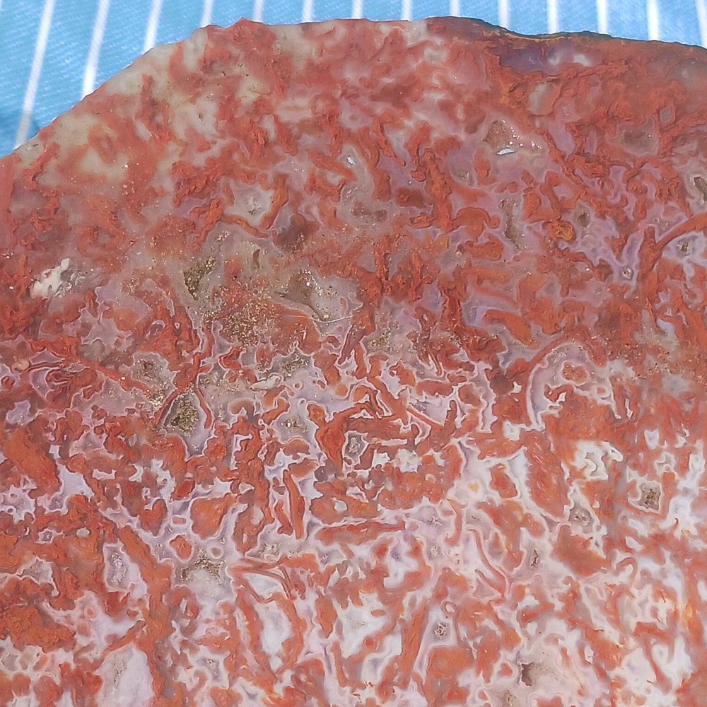BIG Moss Agate Slab Ready For Lapidary