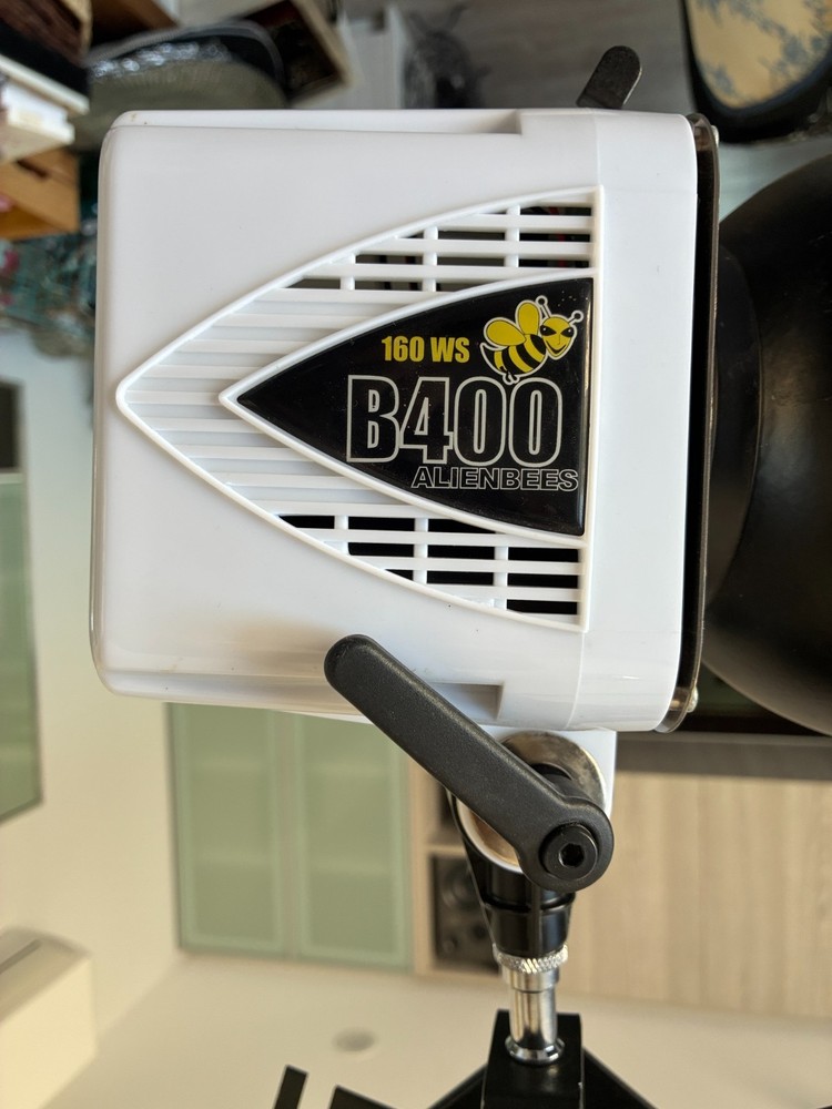 Alien Bees B400 Studio Strobe Flash Monolight