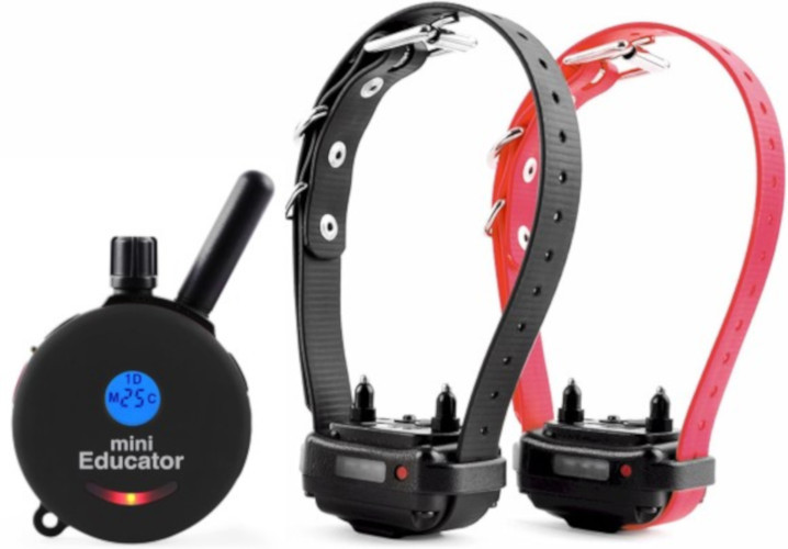 E-Collar Technologies Educator Mini Dog Training Collar 1/2 mile Range ET-300