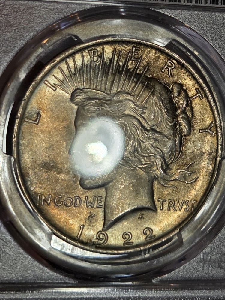 1922 $1 Peace Dollar PCGS MS65 Toned