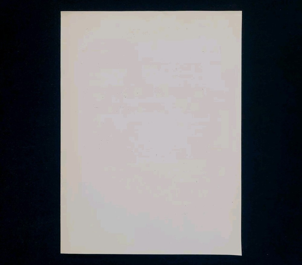 1945 Germany WWII US Army War Intelligence Document Development Political Party