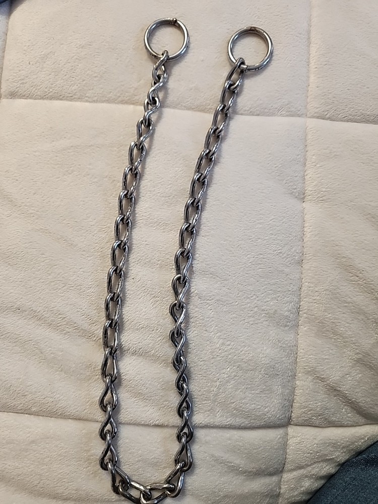 Dog Training Choke Collar 25”