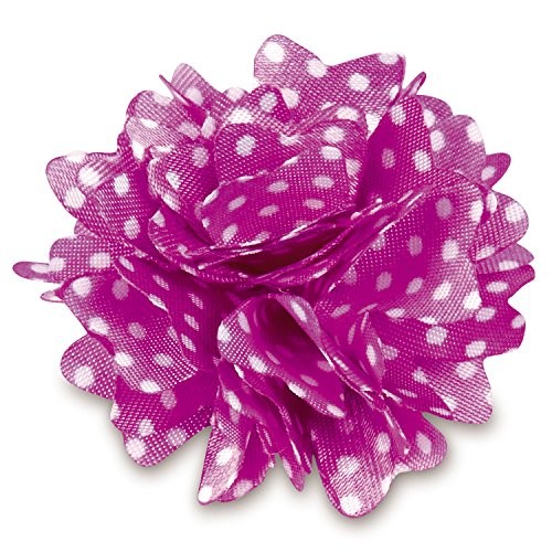 Dot Rose 48 Piece Bows for Dogs