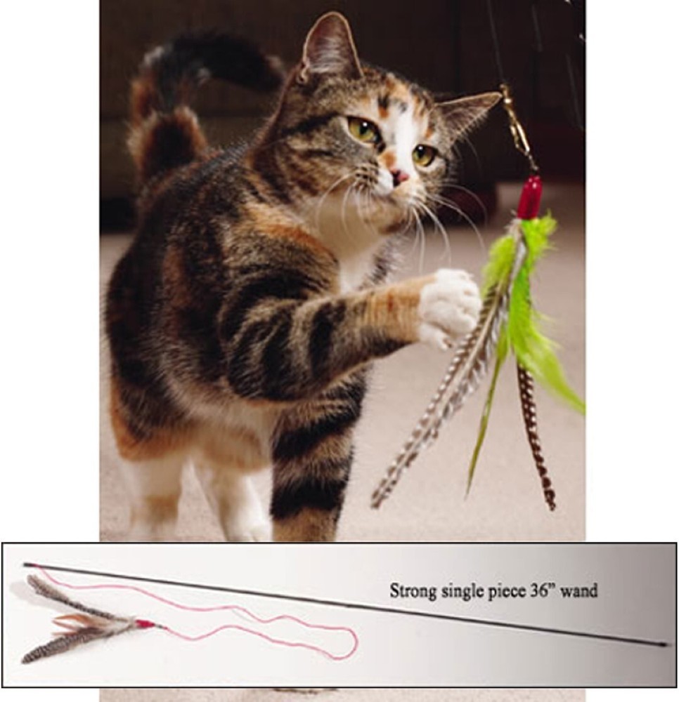 Da Bird SINGLE Pole Cat Kitten Toy with Guinea Feather Interactive Catcher Fun!