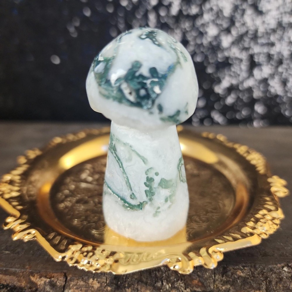 Tree Agate Mushroom