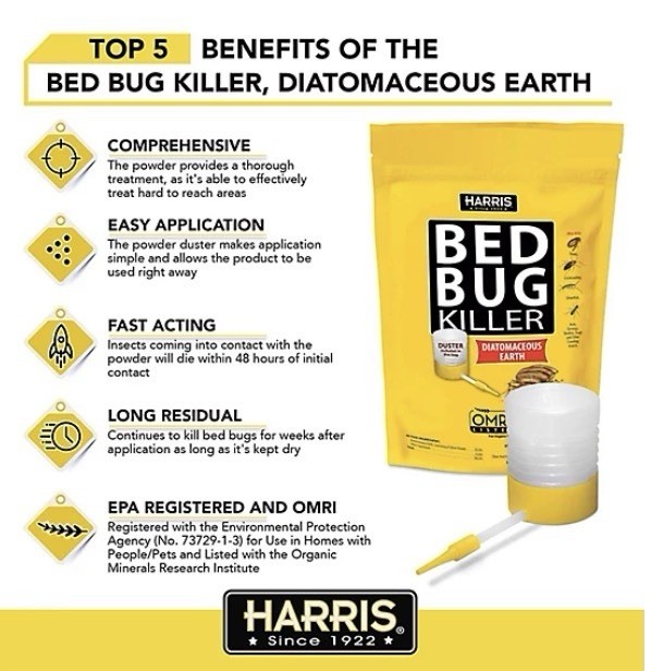 Bed Bug Killer powdered