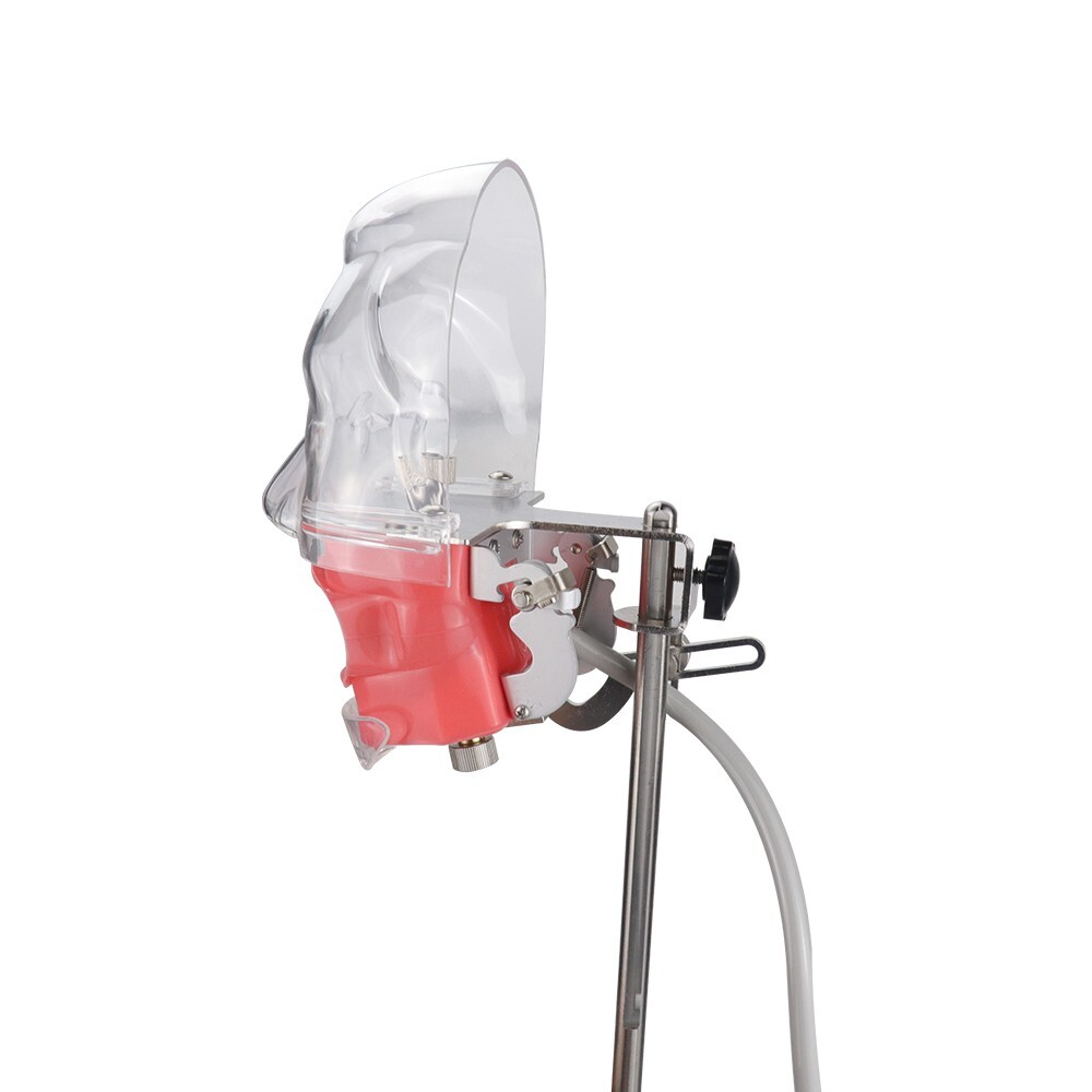 Dental Simulator Mannequin Head Teeth Model Teaching Practicing Head Mold desk