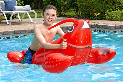 Swimming Pool Float Rider Red Lobster