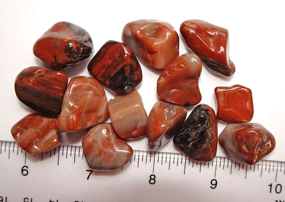 Petrified Wood - 14 Tumbled Stones    rt425a
