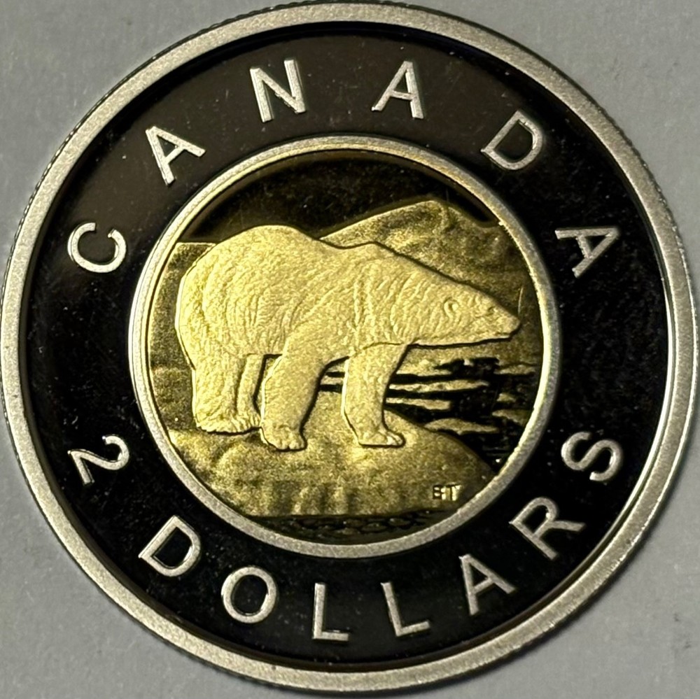 ERROR! PROOF 2020 Canada $2 Dollar Toonie Coin - STRUCK THROUGH THREAD ERRORS!
